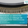 12 System analyzes of the electrical stress on rolling bearings in converter-fed electric motors